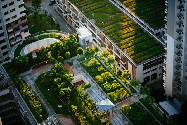 Urban Gardening: Garten auf Dachterrasse