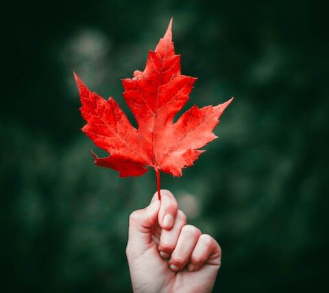 Deko im Herbst: Blätter für Blättergirlande