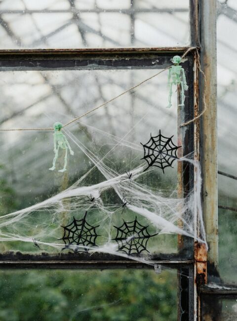 Halloween-Deko selber machen: Spinnenweben Deko
